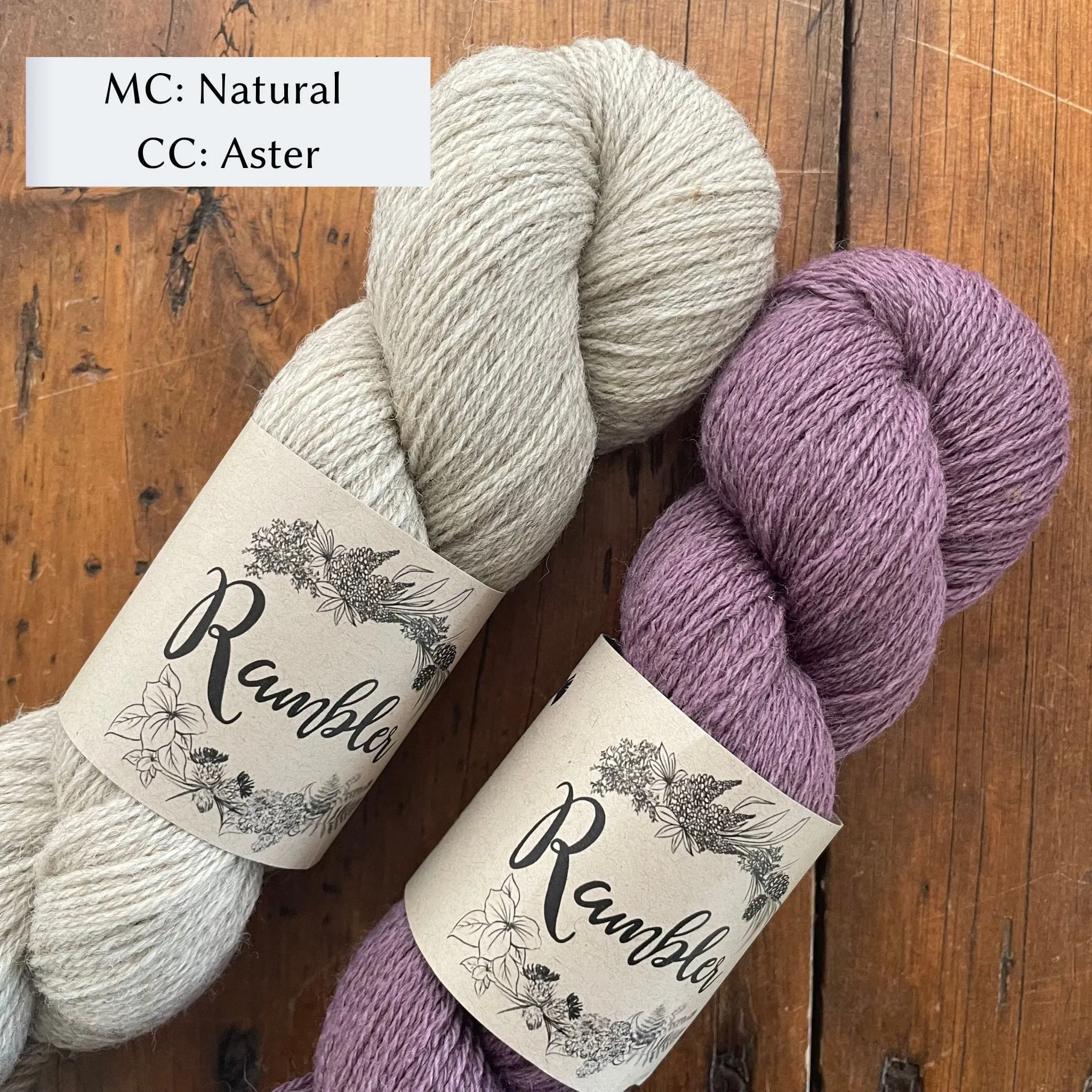 Forest Path Socks by Jessica McDonald in Rambler